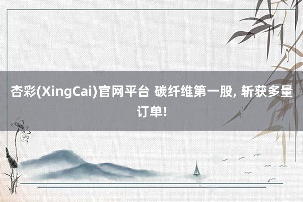 杏彩(XingCai)官网平台 碳纤维第一股, 斩获多量订单!