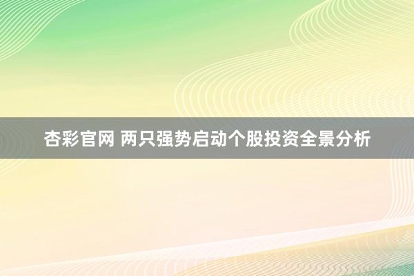 杏彩官网 两只强势启动个股投资全景分析