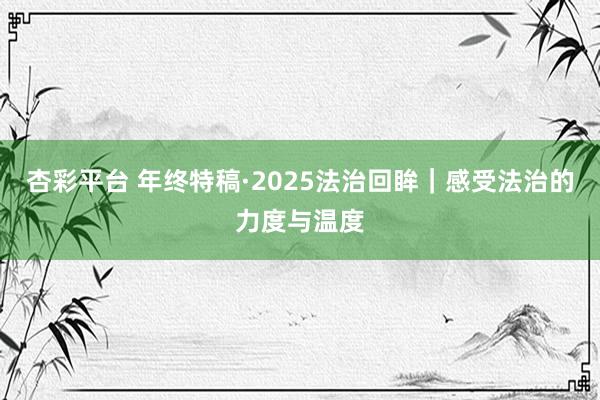 杏彩平台 年终特稿·2025法治回眸｜感受法治的力度与温度
