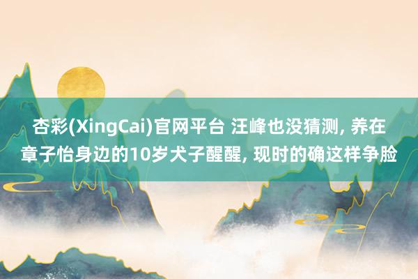 杏彩(XingCai)官网平台 汪峰也没猜测, 养在章子怡身边的10岁犬子醒醒, 现时的确这样争脸