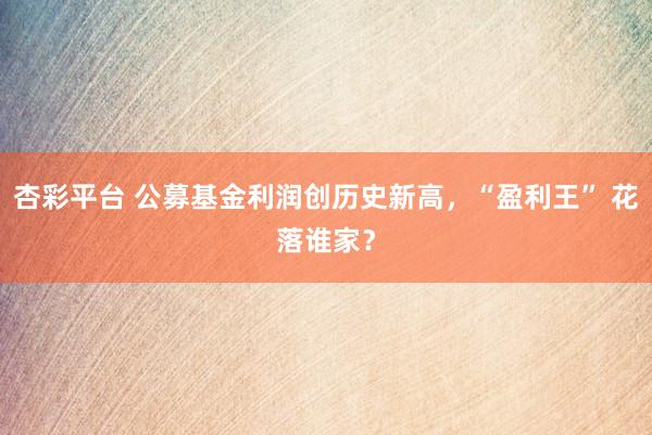 杏彩平台 公募基金利润创历史新高，“盈利王” 花落谁家？
