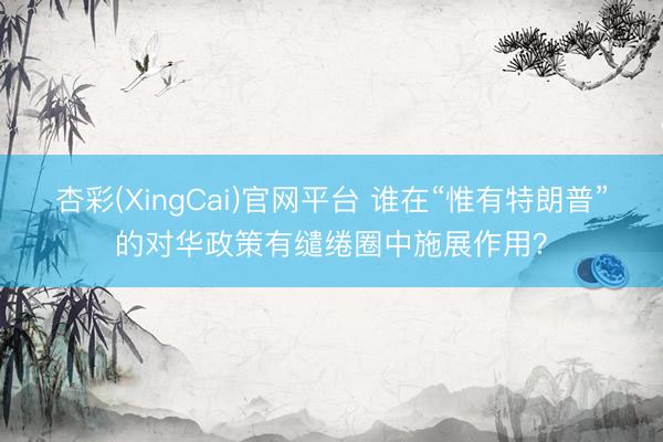 杏彩(XingCai)官网平台 谁在“惟有特朗普”的对华政策有缱绻圈中施展作用？