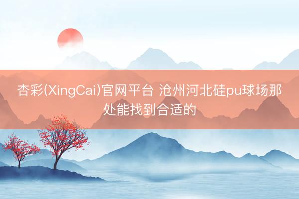 杏彩(XingCai)官网平台 沧州河北硅pu球场那处能找到合适的