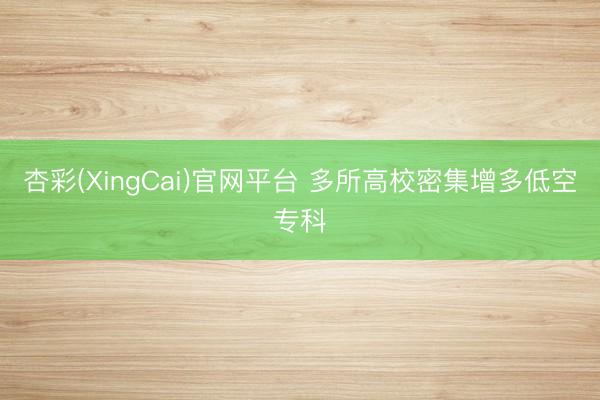 杏彩(XingCai)官网平台 多所高校密集增多低空专科